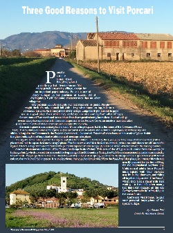 Articolo in lingua per Grapewine